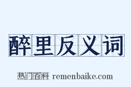 醉里反义词是什么意思的图片
